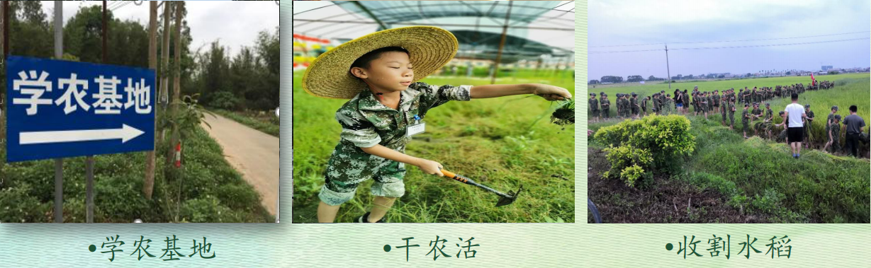 QQ截圖20190923090642.png