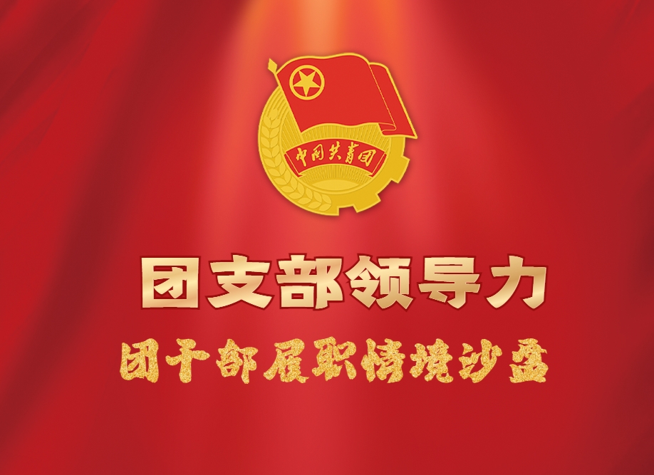 《團支部領導力》團干部履職情境沙盤