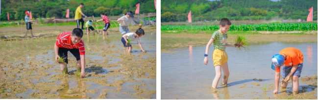 圖片5.png
