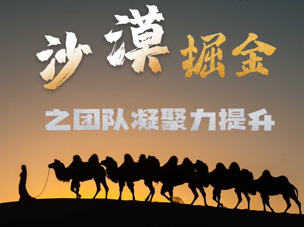沙漠掘金之團隊凝聚力提升