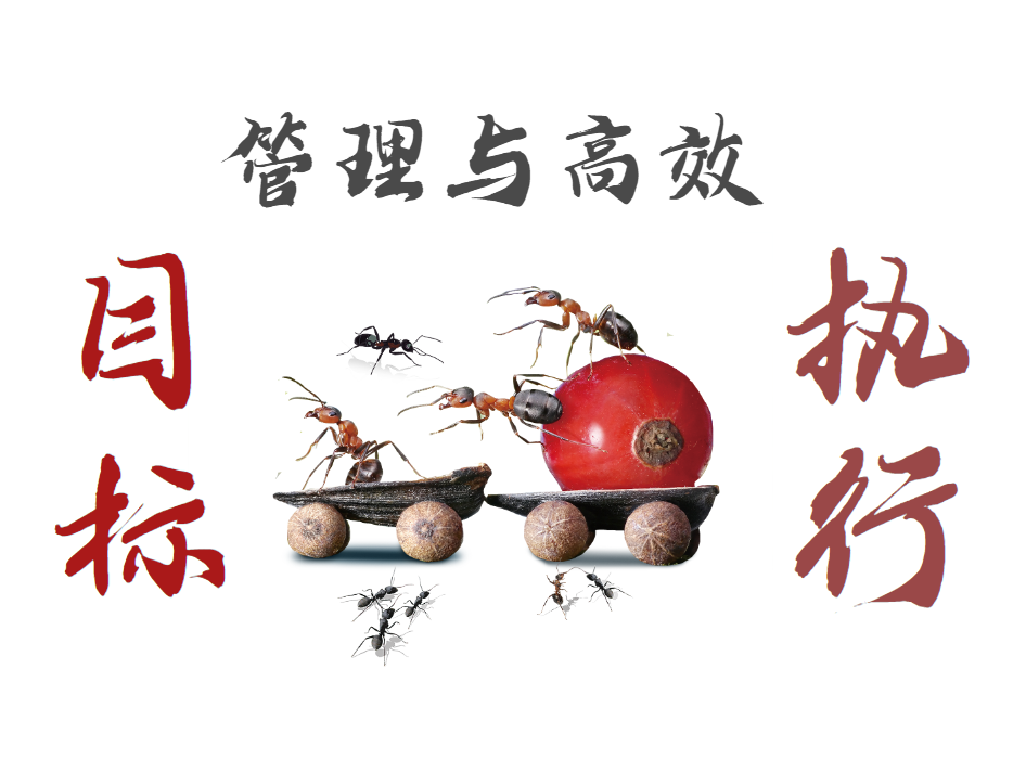 沙漠掘金（目標管理與高效執(zhí)行）