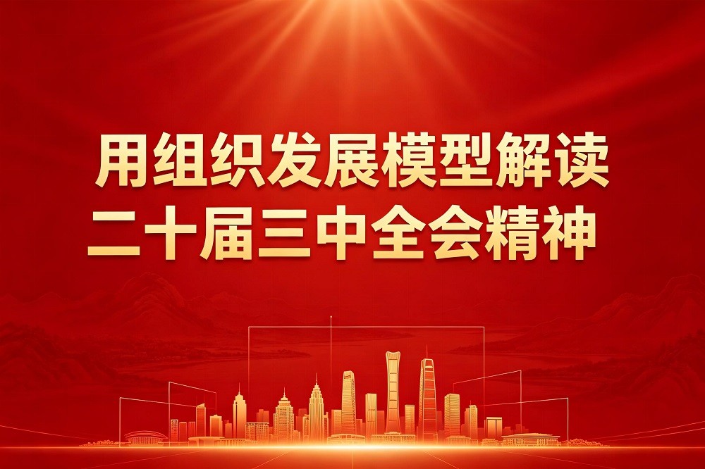 用組織發(fā)展模型解讀二十屆三中全會精神